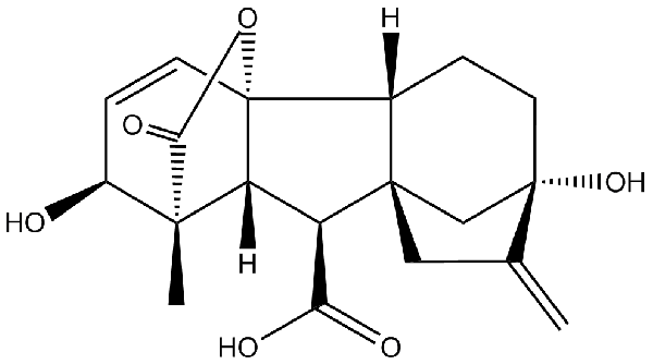 赤霉素GIBBERELLIC ACID，居然有這么神奇？