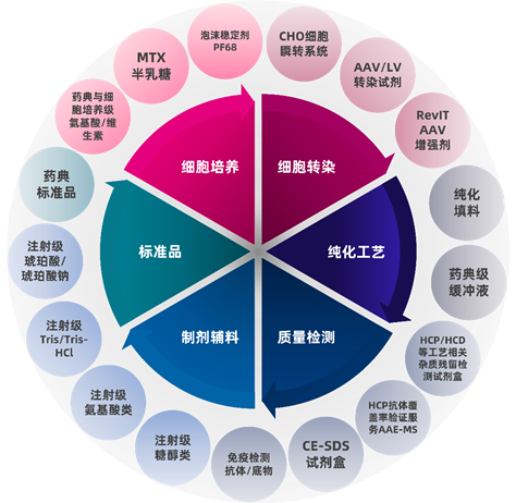 E:\市場部\小禮品\小禮品設計\筆記本內(nèi)頁印刷\2025更新-西美杰產(chǎn)品線.png